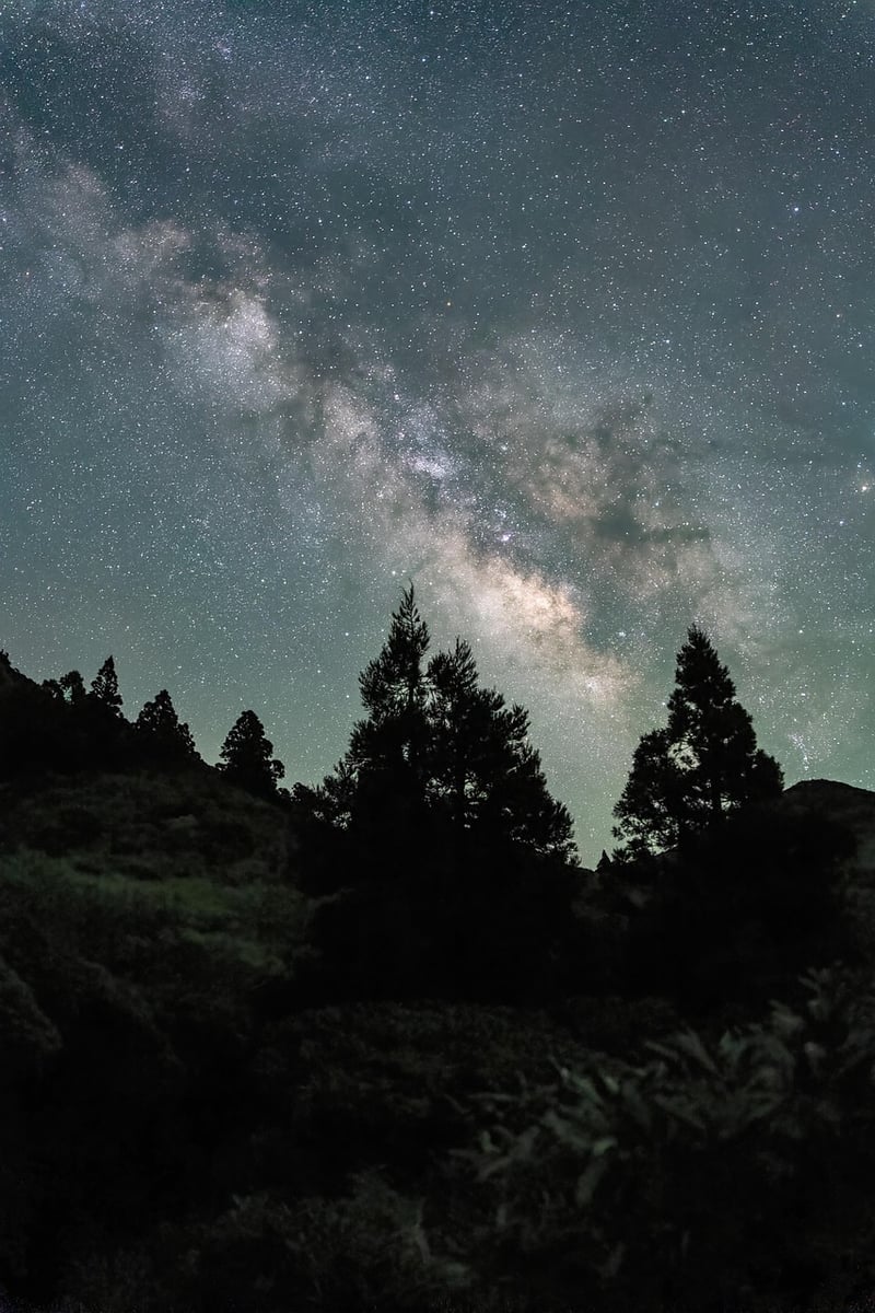 Starry Night at Lodge